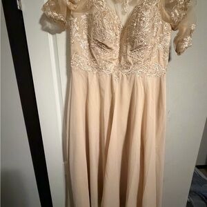 Elegant Lace Embroidered Dress